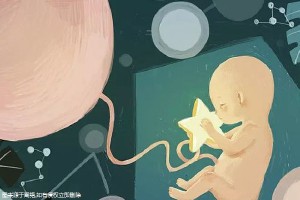 供卵代怀生男宝代生包成功